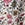 Rip Curl Girls' Hibiscus Heat Romper (Big Kid)