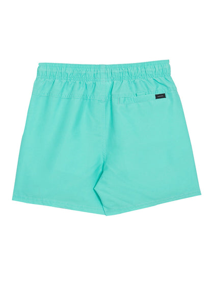 Rip Curl Boys' Bondi Volley Board Shorts (Big Kid)