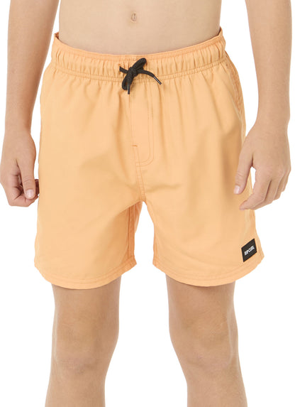 Rip Curl Boys' Offset Volley Shorts (Big Kid)