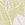 Rip Curl Women's Cala Vadella Top